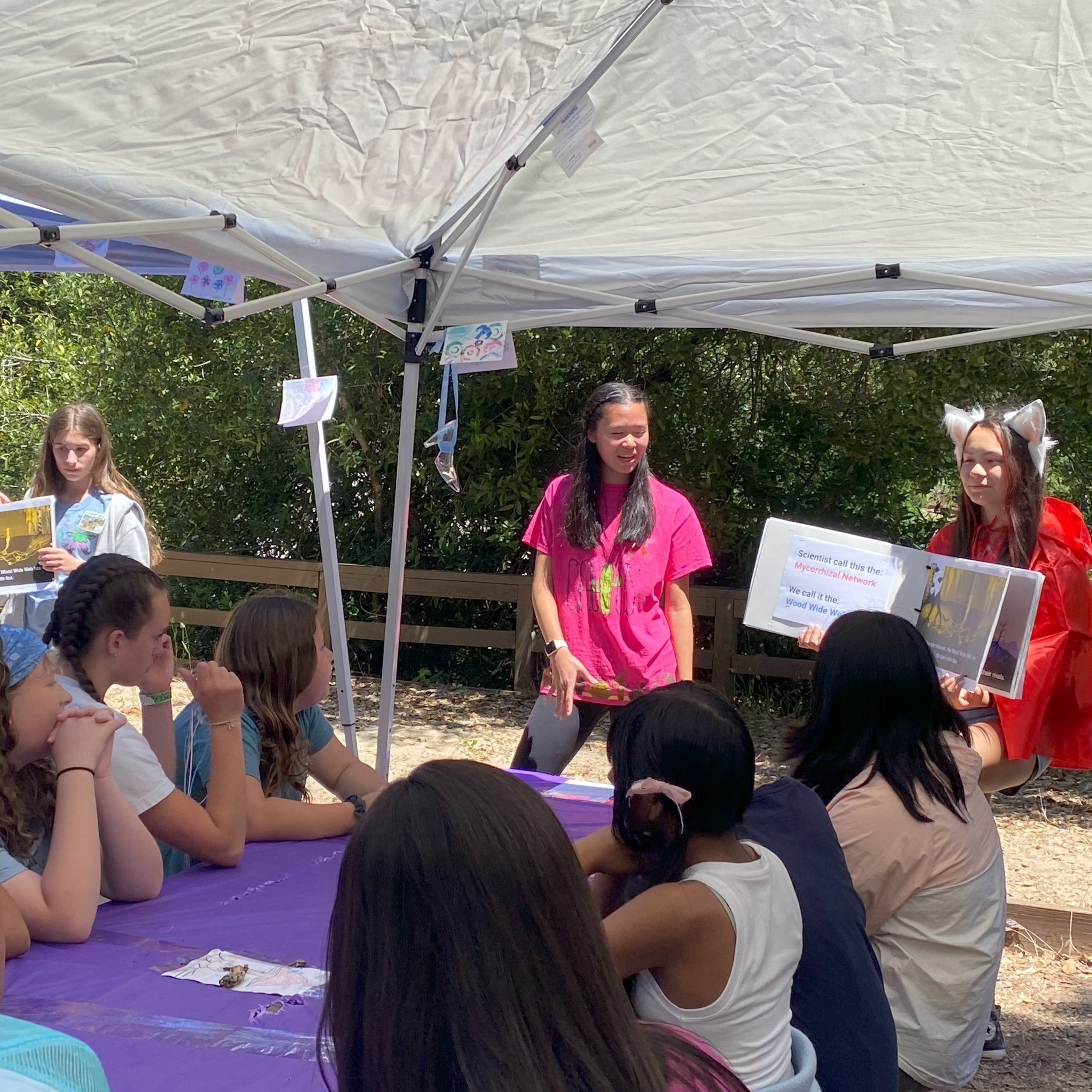 5elf-band02-04 DUPLICATE